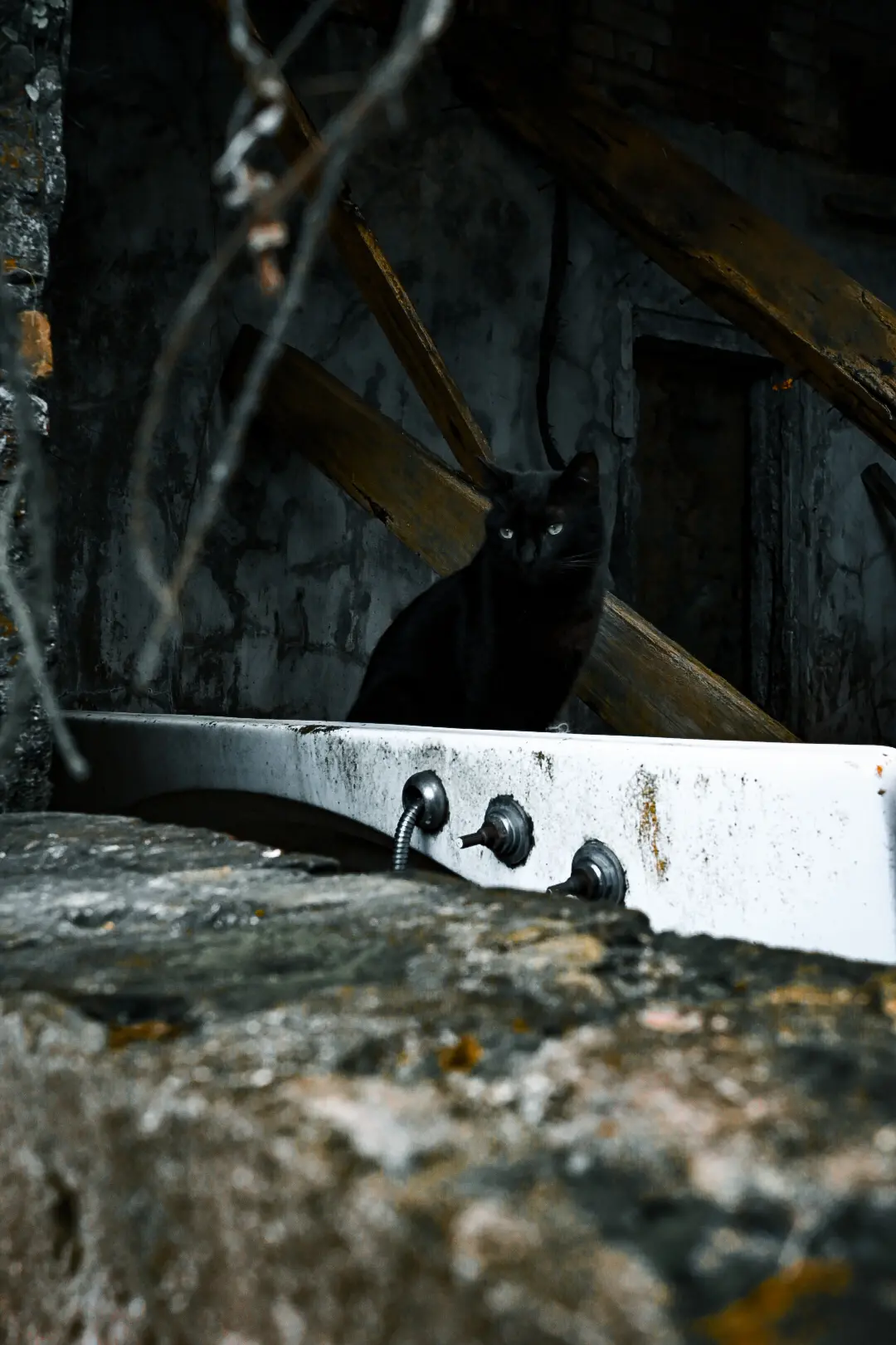 Click to view full screen 不朽典藏套組 照片濾鏡 photo review