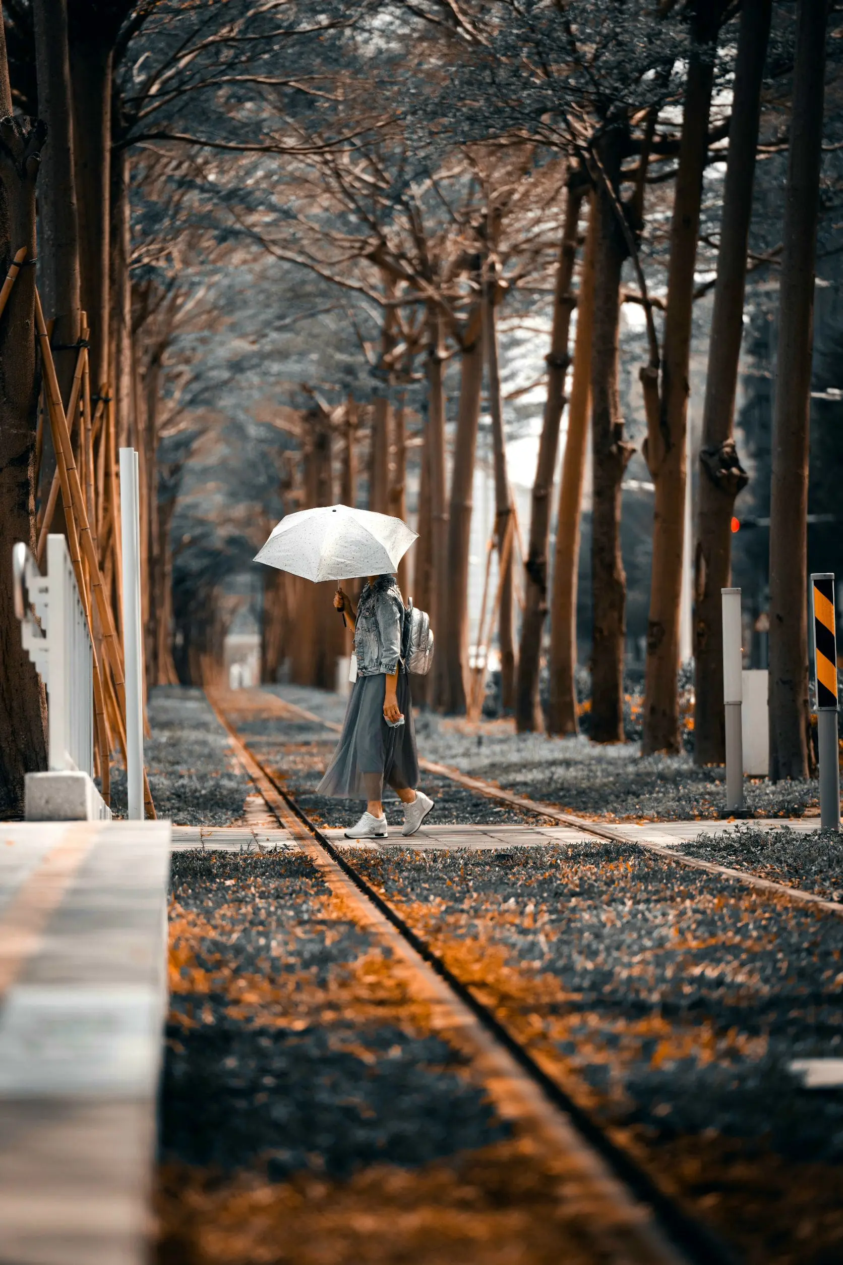 不朽典藏套組 照片濾鏡 photo review