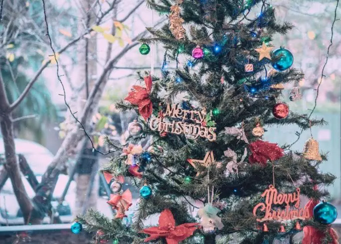 不朽典藏套組 照片濾鏡 photo review