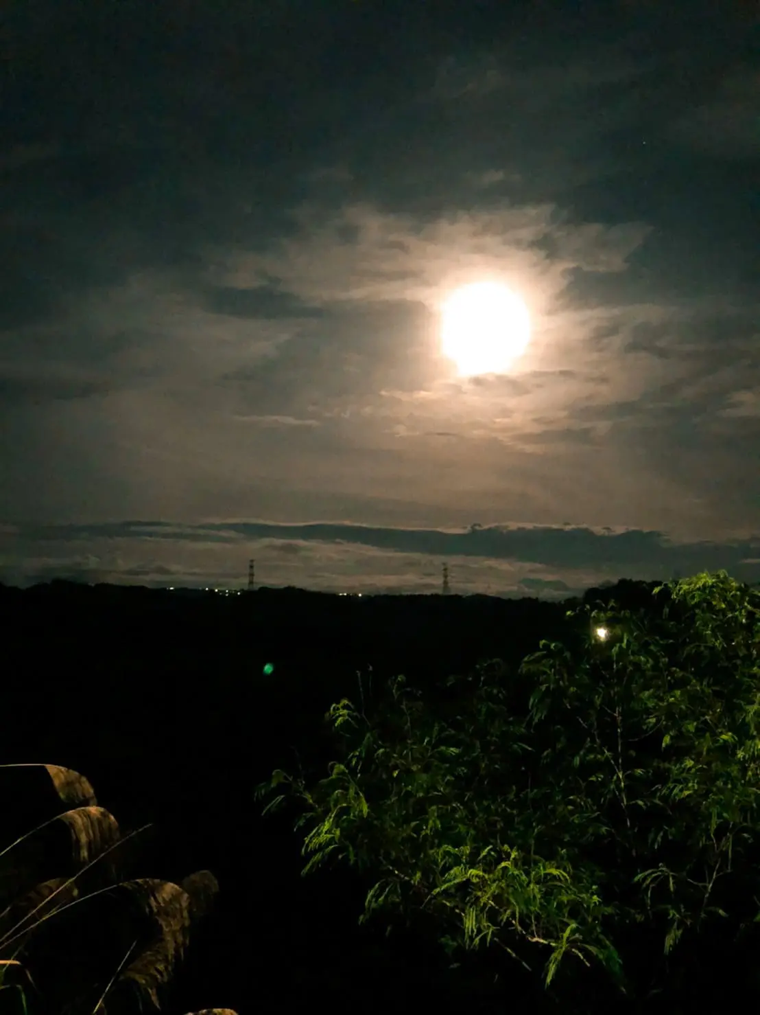 不朽典藏套組 照片濾鏡 photo review