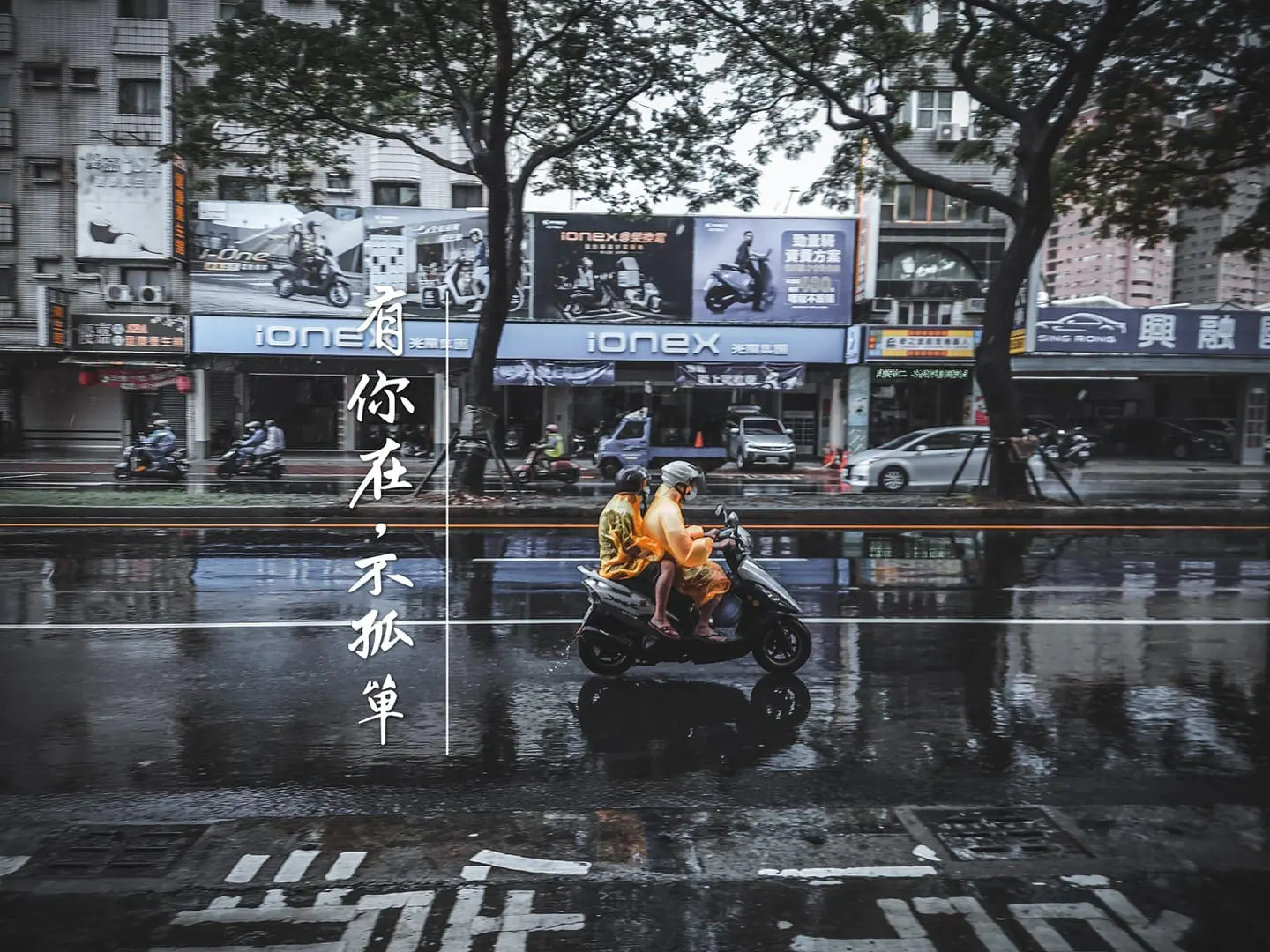 不朽典藏套組 照片濾鏡 photo review