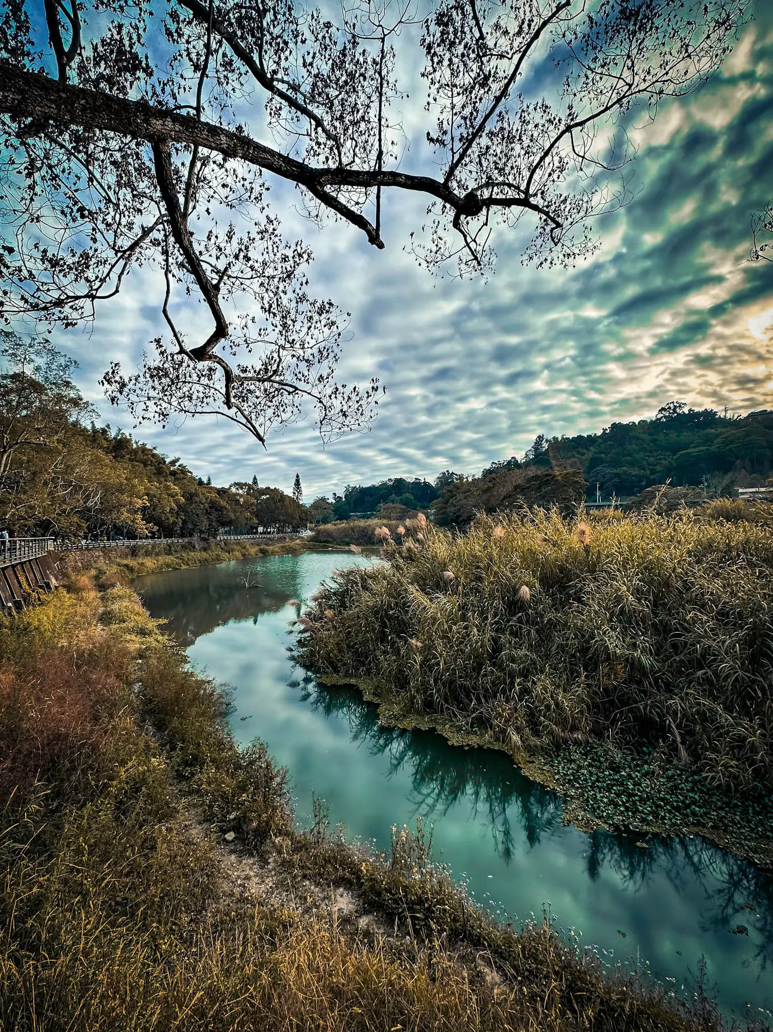 不朽典藏套組 照片濾鏡 photo review