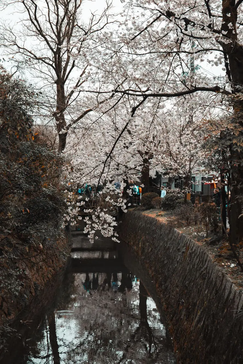 不朽典藏套組 照片濾鏡 photo review