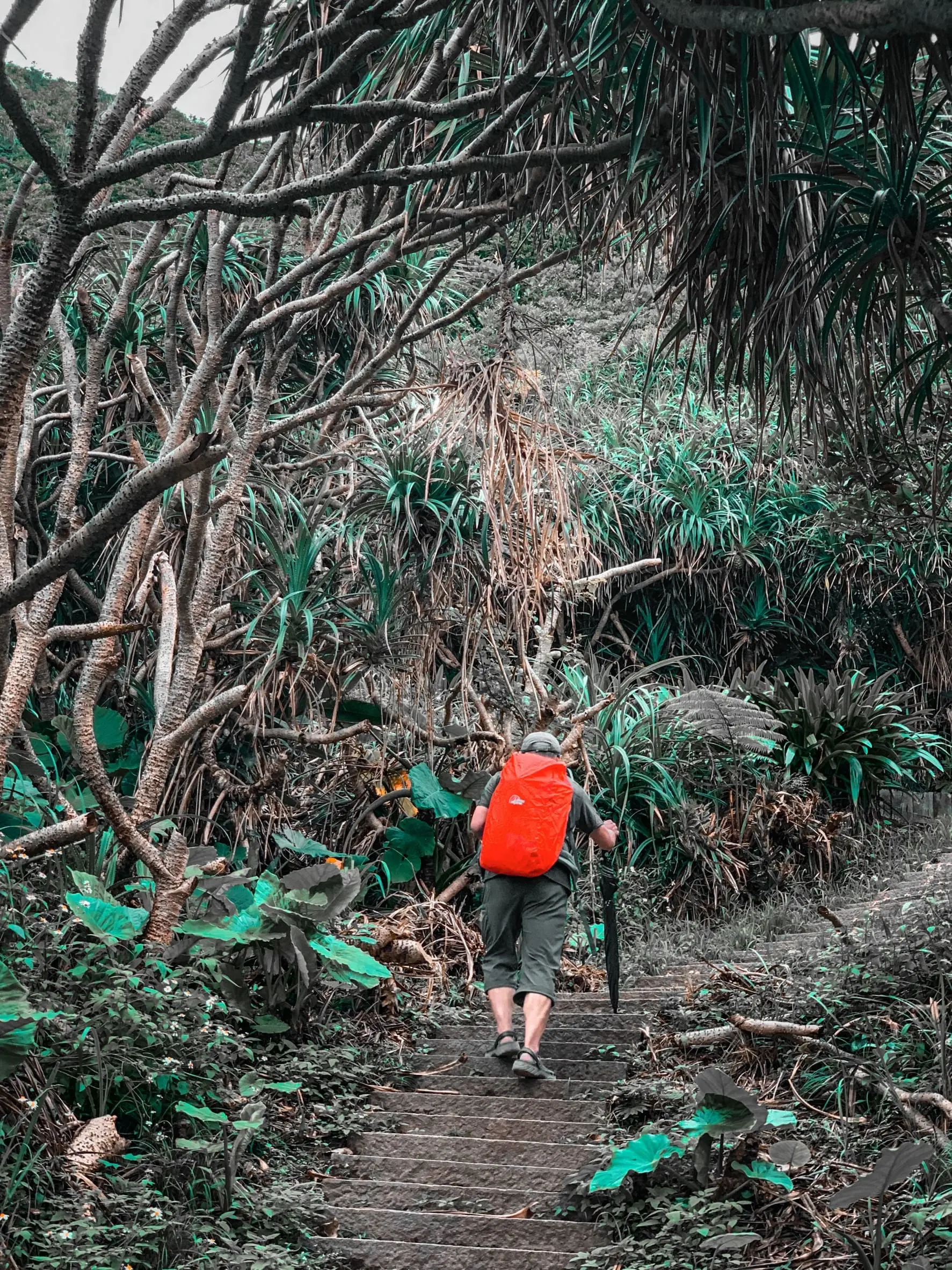 不朽典藏套組 照片濾鏡 photo review