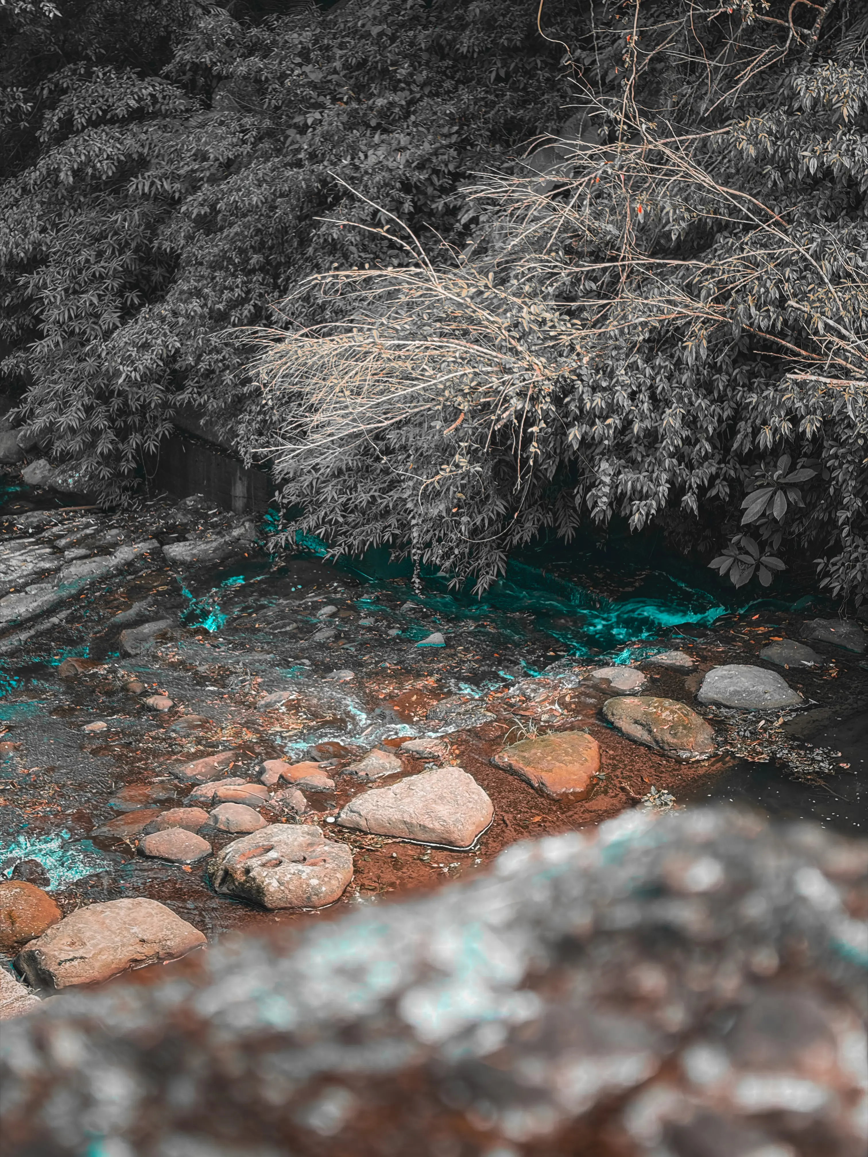 Click to view full screen 不朽典藏套組 照片濾鏡 photo review