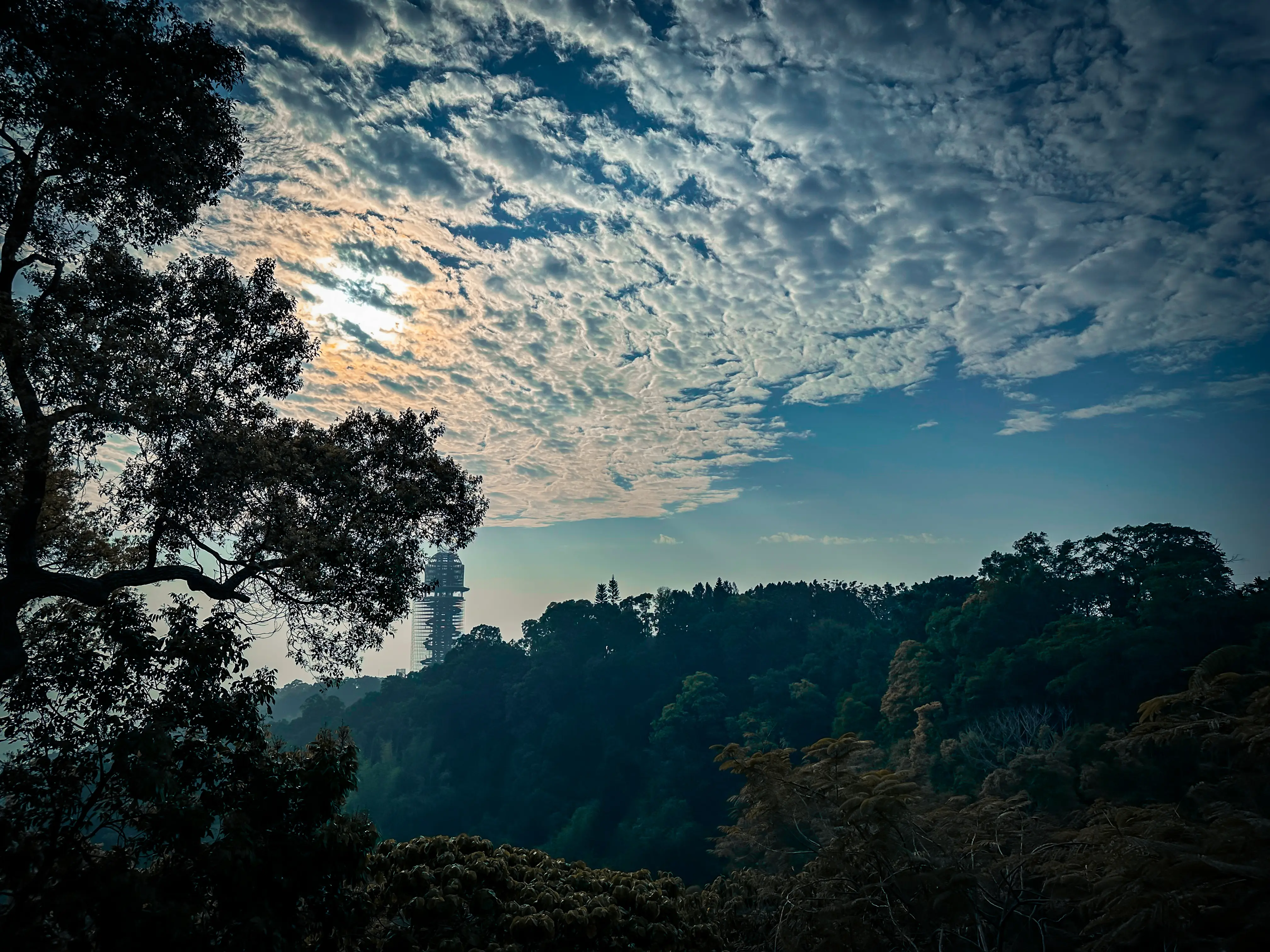 不朽典藏套組 照片濾鏡 photo review