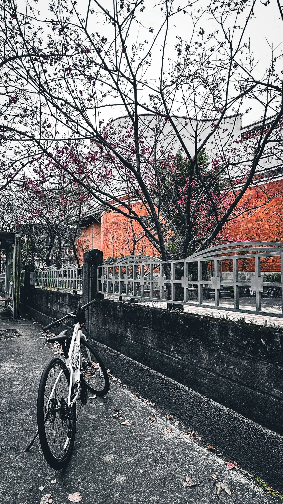 不朽典藏套組 照片濾鏡 photo review